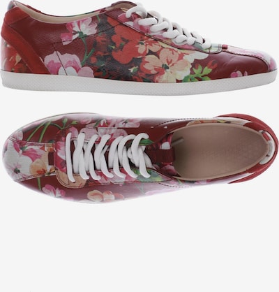 Gucci Sneakers & Trainers in 37 in Bordeaux, Item view