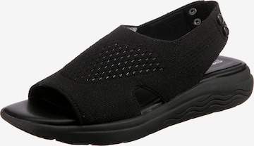 GEOX Sandals 'Spherica' in Black: front