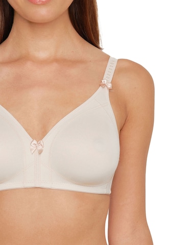 SUSA BH 'Topsy' in Braun