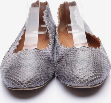Chloé Flats & Loafers in 39 in Grey