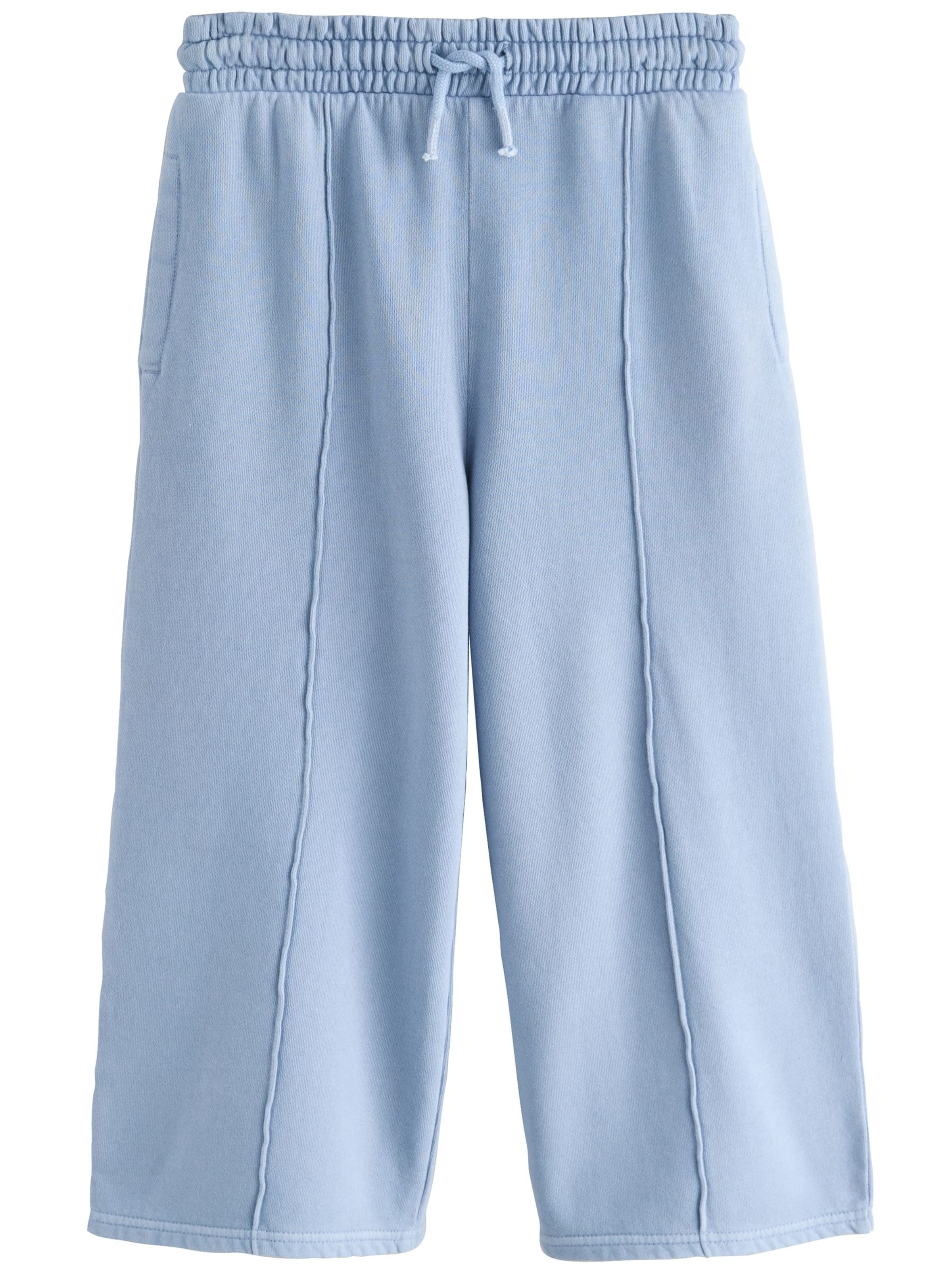 Next Wide leg Παντελόνι σε μπλε: μπροστά