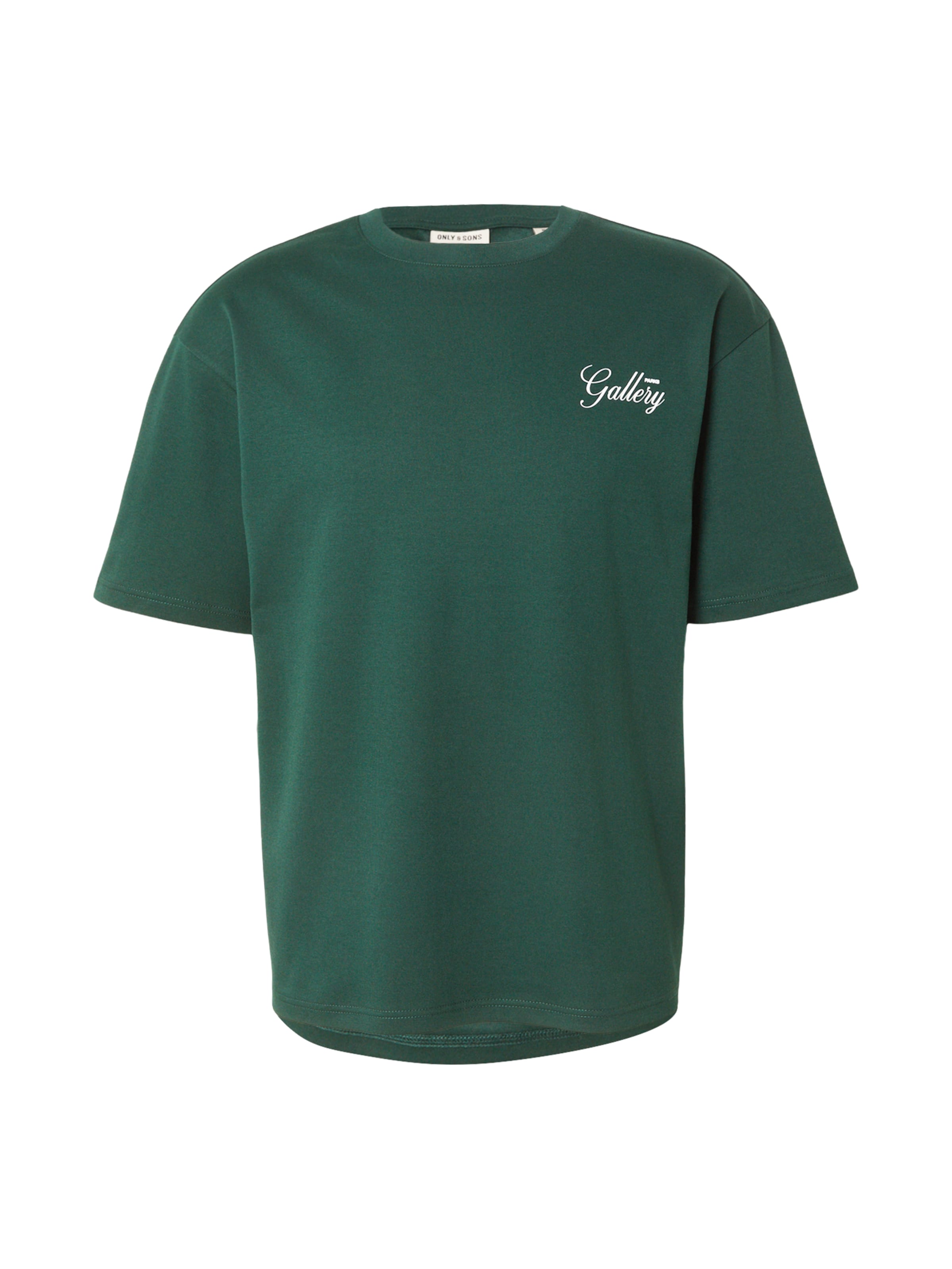 Only & Sons - Camiseta 'ONSPARKS GALLERY' en verde: frente