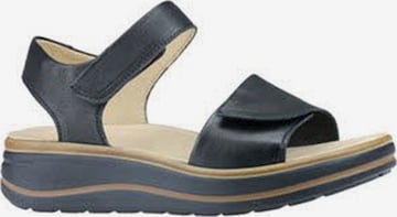 Sandales 'Sandalette Damen 1322002100100 Echtleder in schwarz' Hartjes en noir : devant