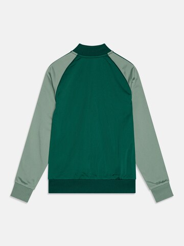 ADIDAS ORIGINALS Кофта на молнии 'Adicolor' в Зеленый