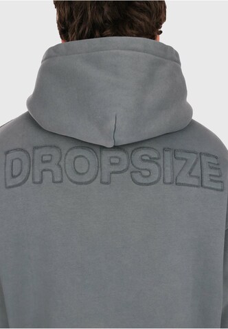 Dropsize Sweatshirt in Grau