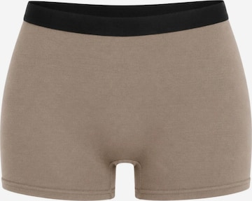 True North Boyshorts 'Boyshort' in Grey: front