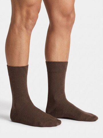 sockenkauf24 Socks 'Business Socken' in Beige: front