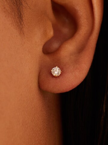 Lucardi Oorbellen in Goud: voorkant