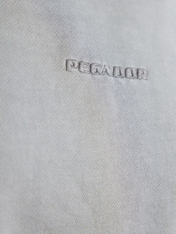 Pegador Sweatshirt 'SELA' in Grijs