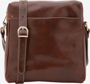Viola Castellani Crossbody bag in Brown: front