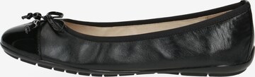 CAPRICE Ballet Flats in Black