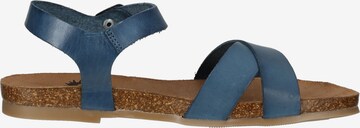 Sandalo di COSMOS COMFORT in blu