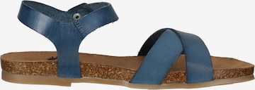 COSMOS COMFORT Sandals in Blue