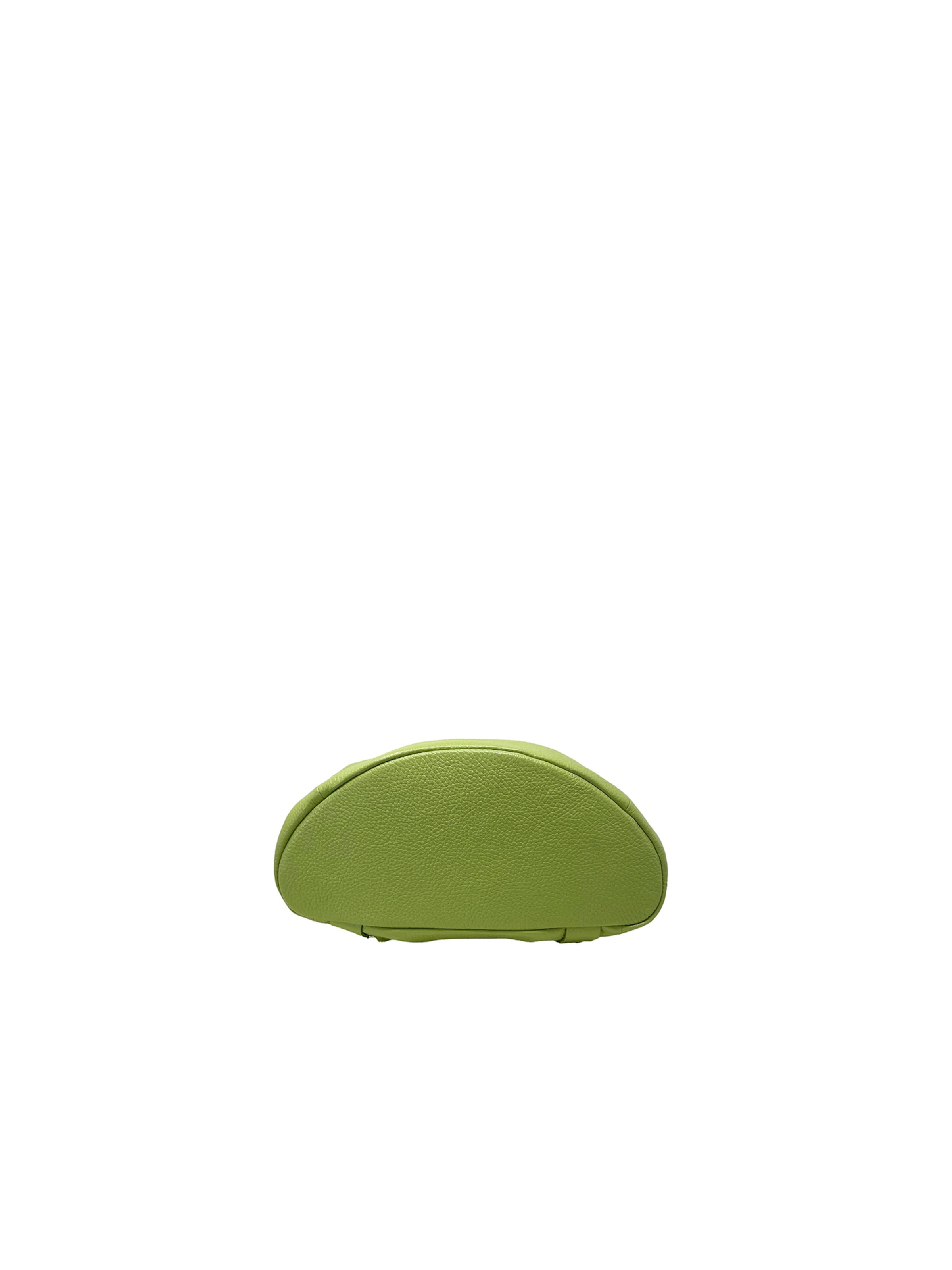 CHICCA BORSE Rugzak in Groen