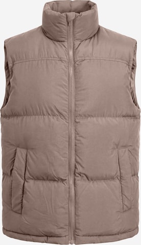 Gilet 'Konrad' DAN FOX APPAREL en beige : devant