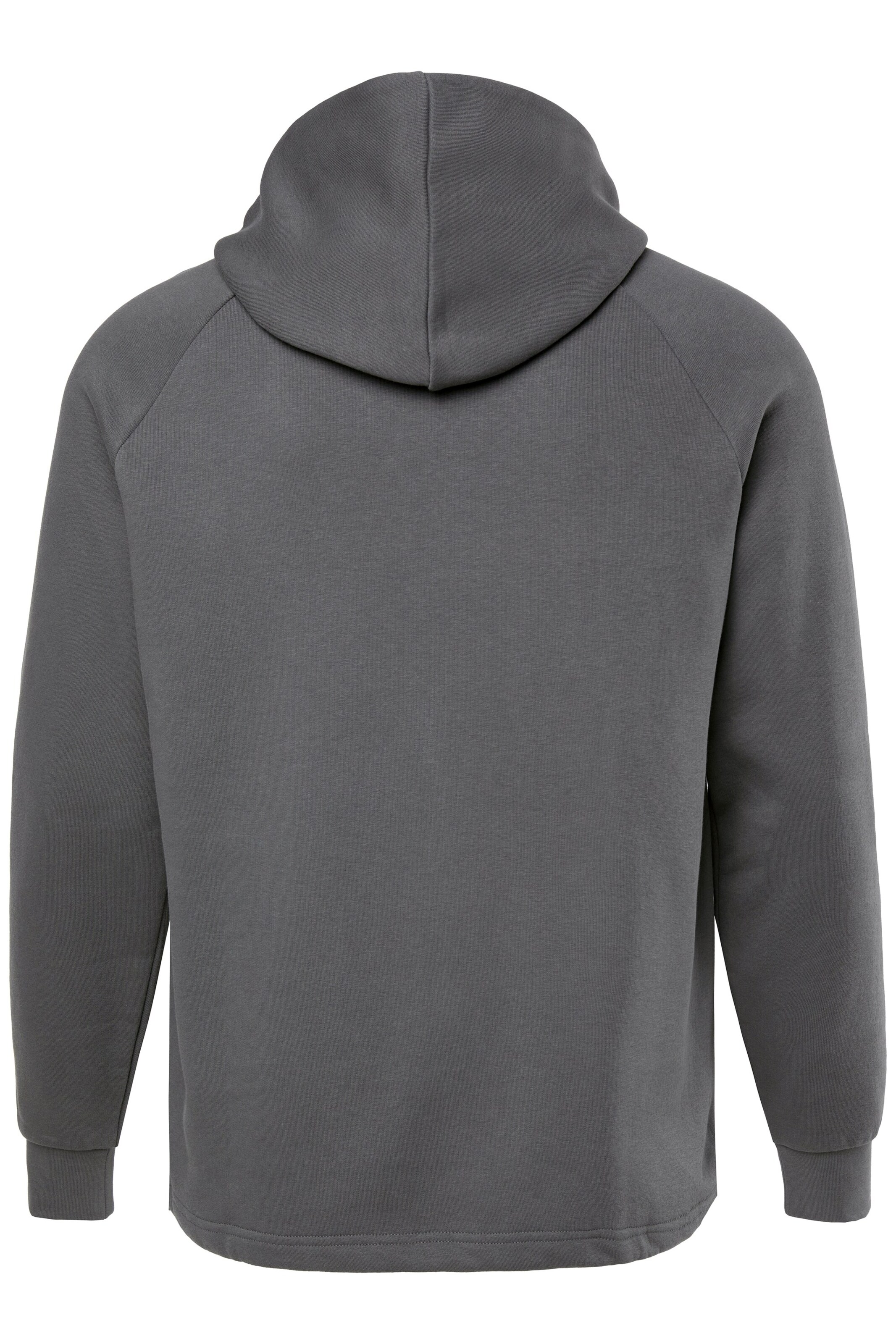 JAY-PI Sweatshirt in Grey