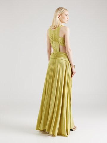 Elisabetta Franchi Evening Dress in Yellow