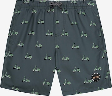 Shorts de bain Shiwi en vert : devant