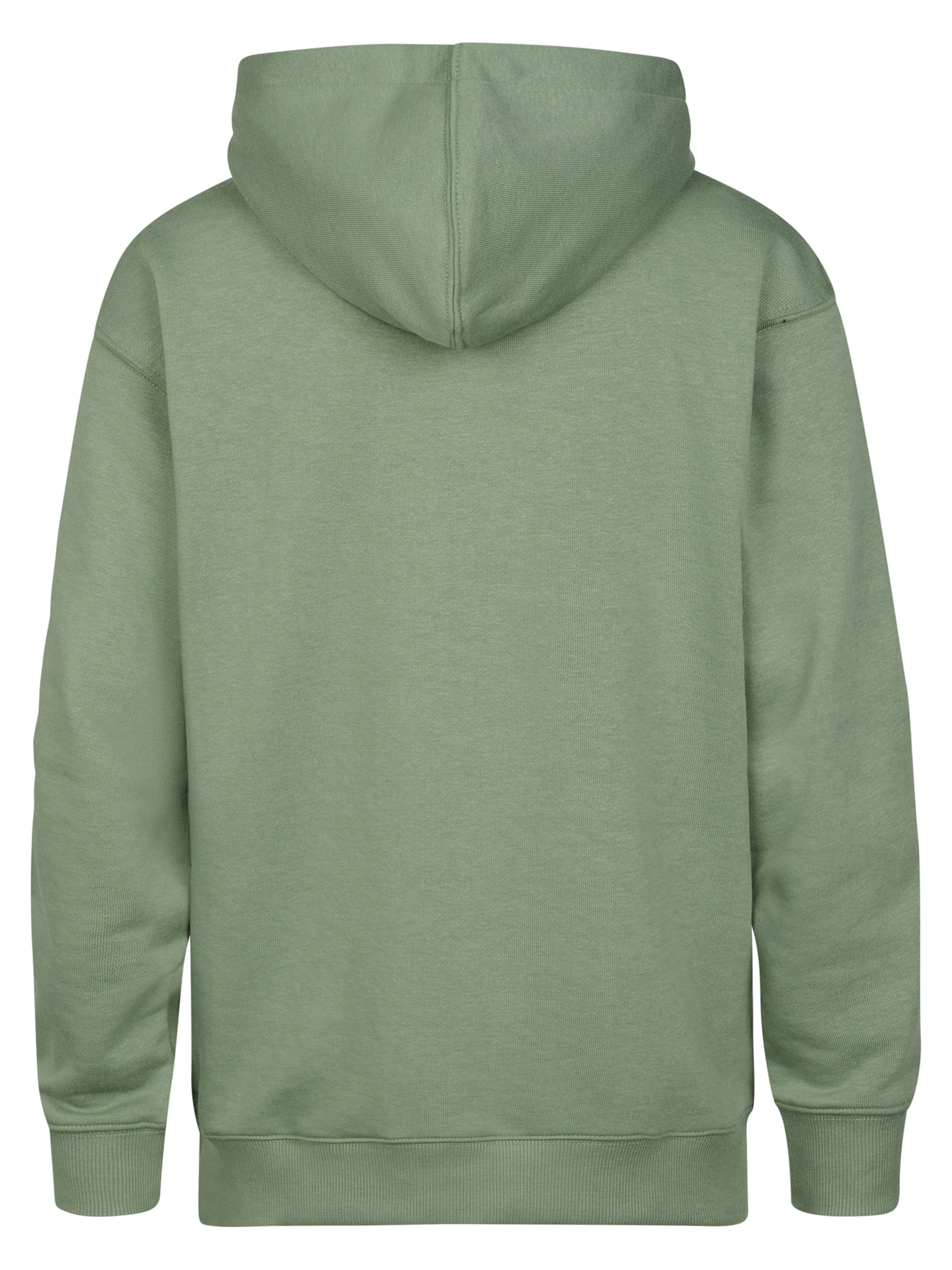 Petrol Industries Sweatshirt 'Ballena' in Groen
