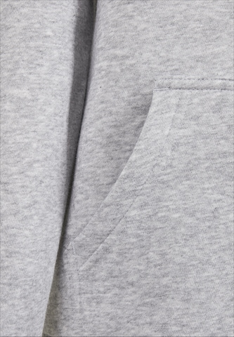 Mister Tee Sweatshirt 'Space Jam Bugs' in Grey