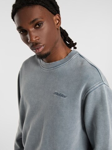 Felpa 'PLENTYWOOD' di DICKIES in grigio