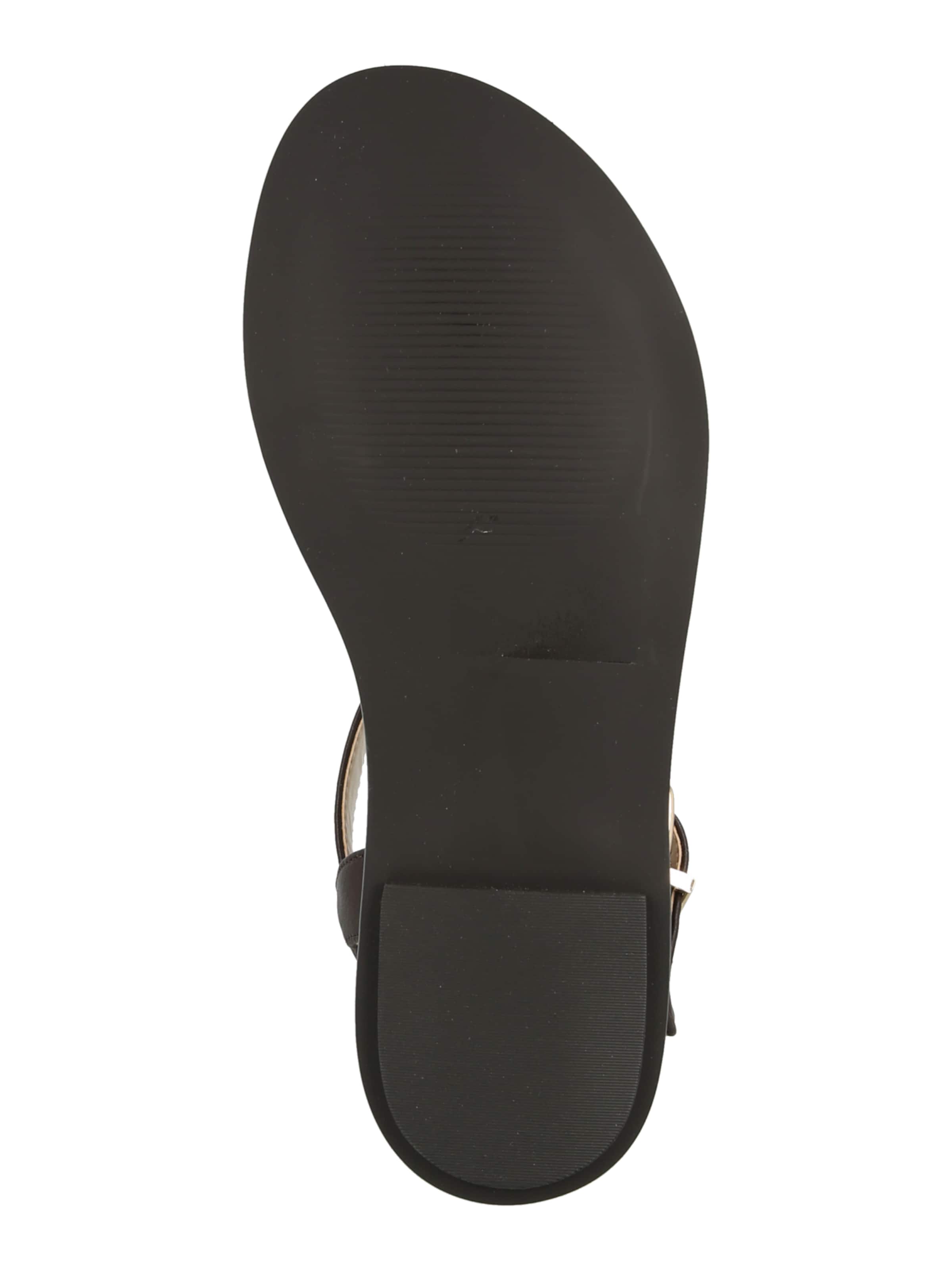STEVE MADDEN Σανδάλι 'Carpertina-B' σε καφέ