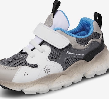 NATURINO Low shoe 'YAMANO 3 JUNIOR VL.' in Grey: front