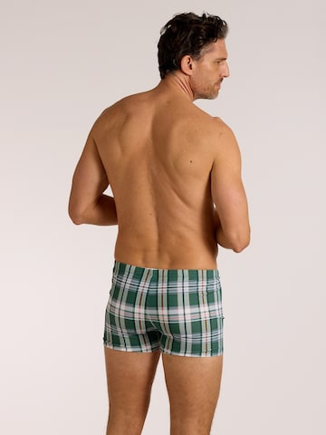 wavebreaker Swim Trunks in Green
