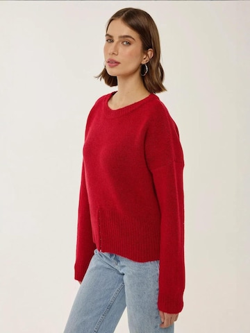 Pull-over 'Pullover' Hiccup en rouge : devant