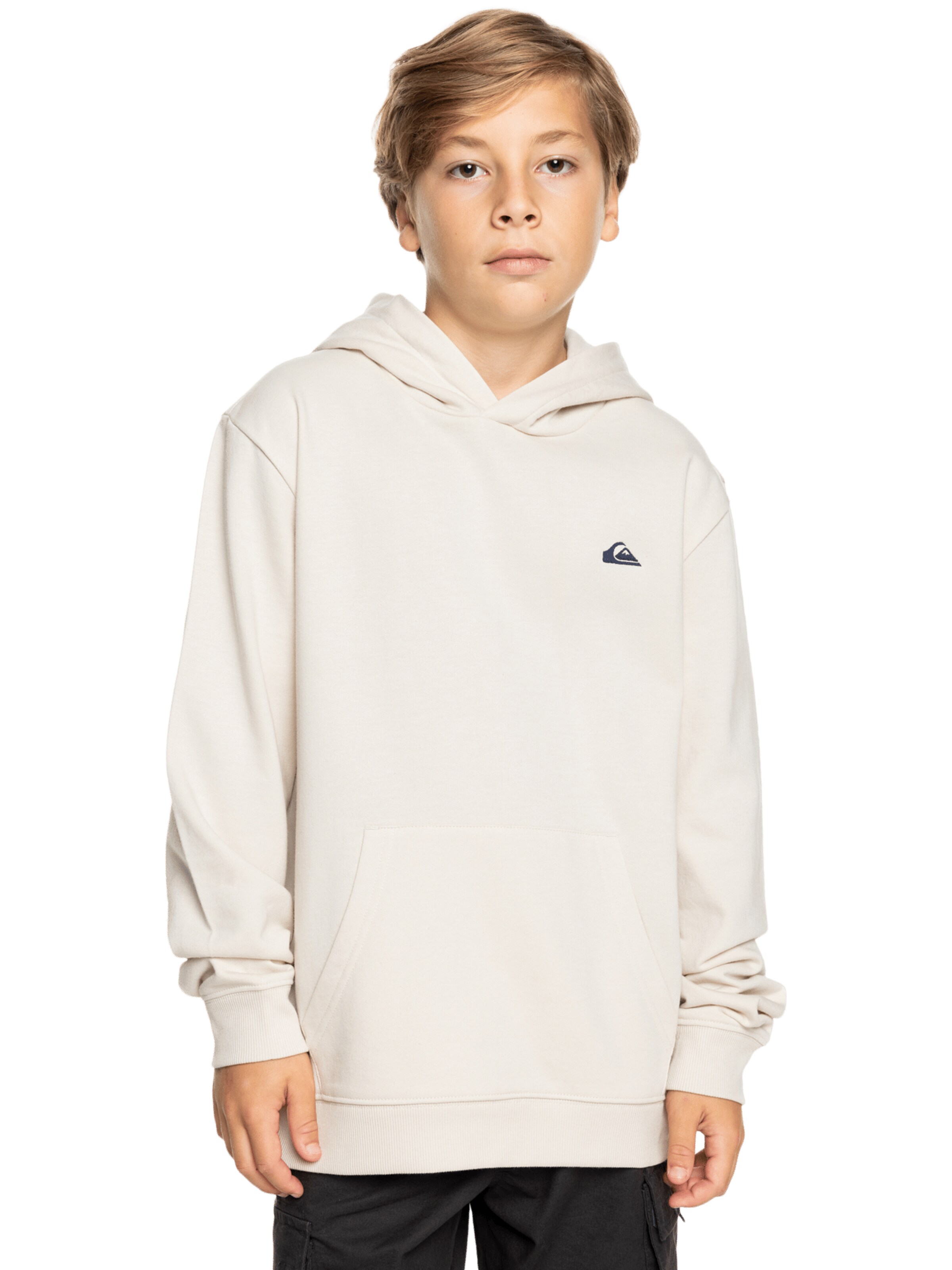 QUIKSILVER Sweatshirt in Beige: front