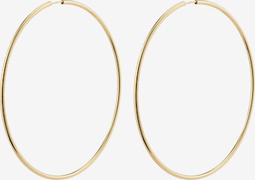 Pilgrim Oorbellen 'April' in Goud: voorkant