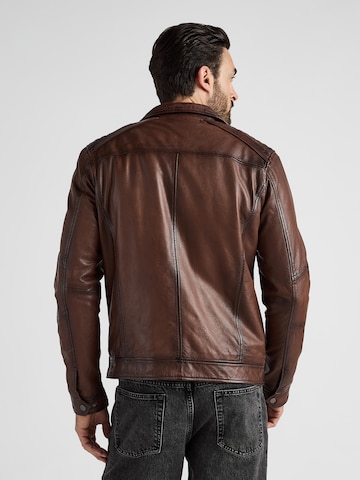 JCC Tussenjas in Bruin