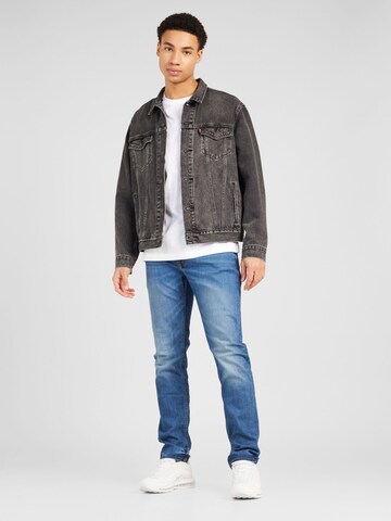 regular Jeans 'Denton' di TOMMY HILFIGER in blu