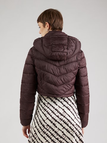 Tally Weijl Between-season jacket in Brown