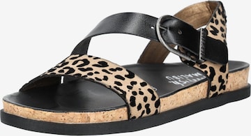 Sandalo con cinturino di Blowfish Malibu in nero: frontale