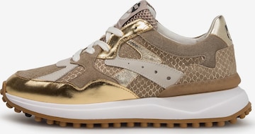 Sneaker bassa 'Noppi 46' di Floris van Bommel in oro: frontale