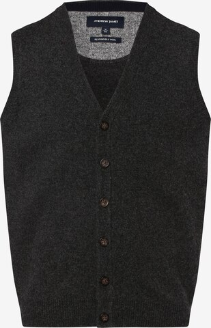Andrew James Sweater Vest in Grey: front