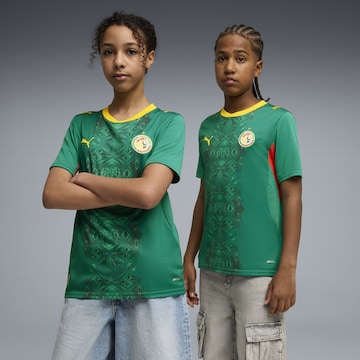 PUMA Functioneel shirt 'Senegal 2026' in Groen: voorkant