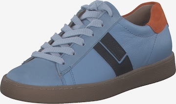 Paul Green Sneakers laag '5464' in Blauw: voorkant