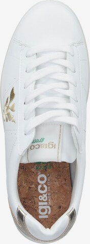 IGI&CO Sneakers laag in Wit