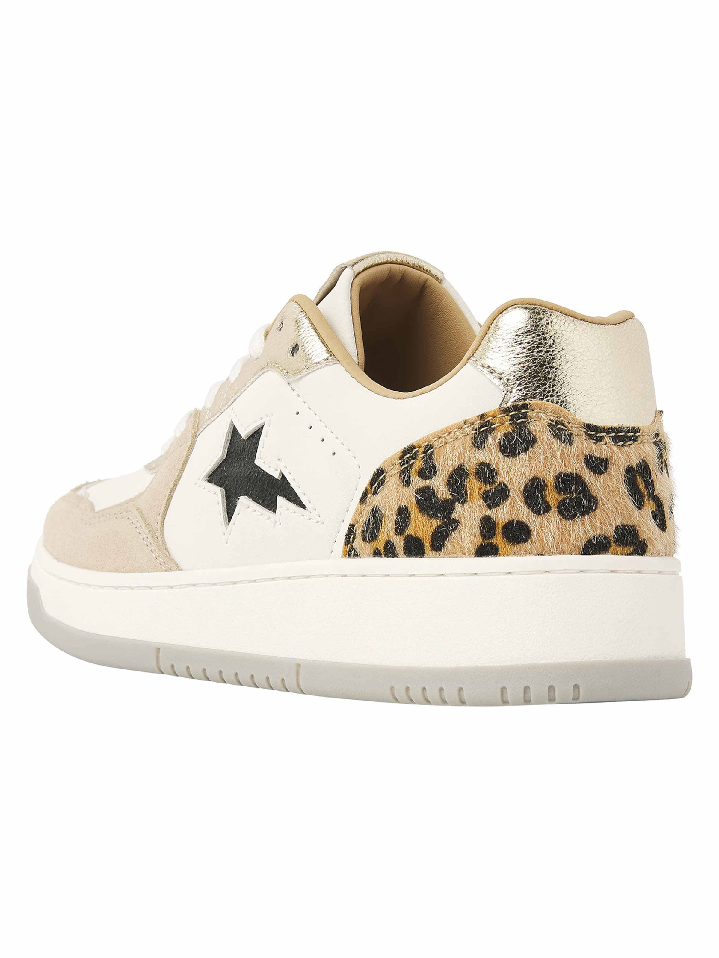 BRITISH KNIGHTS - Zapatillas deportivas bajas 'ALLURE' en beige