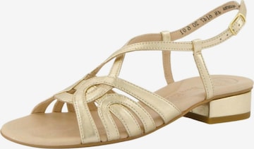 Paul Green Sandalen met riem in Goud: voorkant