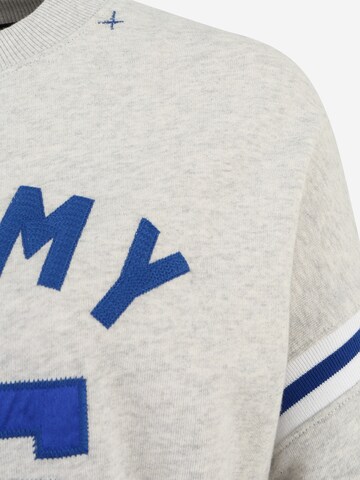 Tommy Jeans Sweatshirt & Sweatjacke, värv hall
