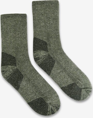 normani Athletic Socks in Green