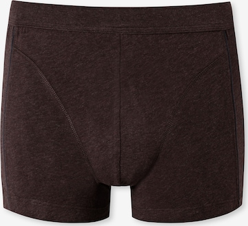 SCHIESSER Boxer shorts in Brown: front
