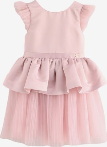 rožinė Baker by Ted Baker Suknelė: priekis