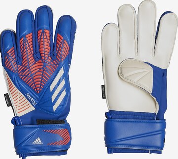 ADIDAS PERFORMANCE Athletic Gloves 'Predator' in Blue: front