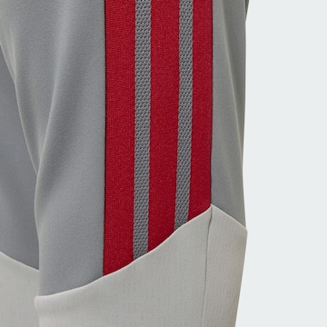 ADIDAS PERFORMANCE Slimfit Sportovní kalhoty 'Liverpool FC 26/27 Cup Tiro' – šedá