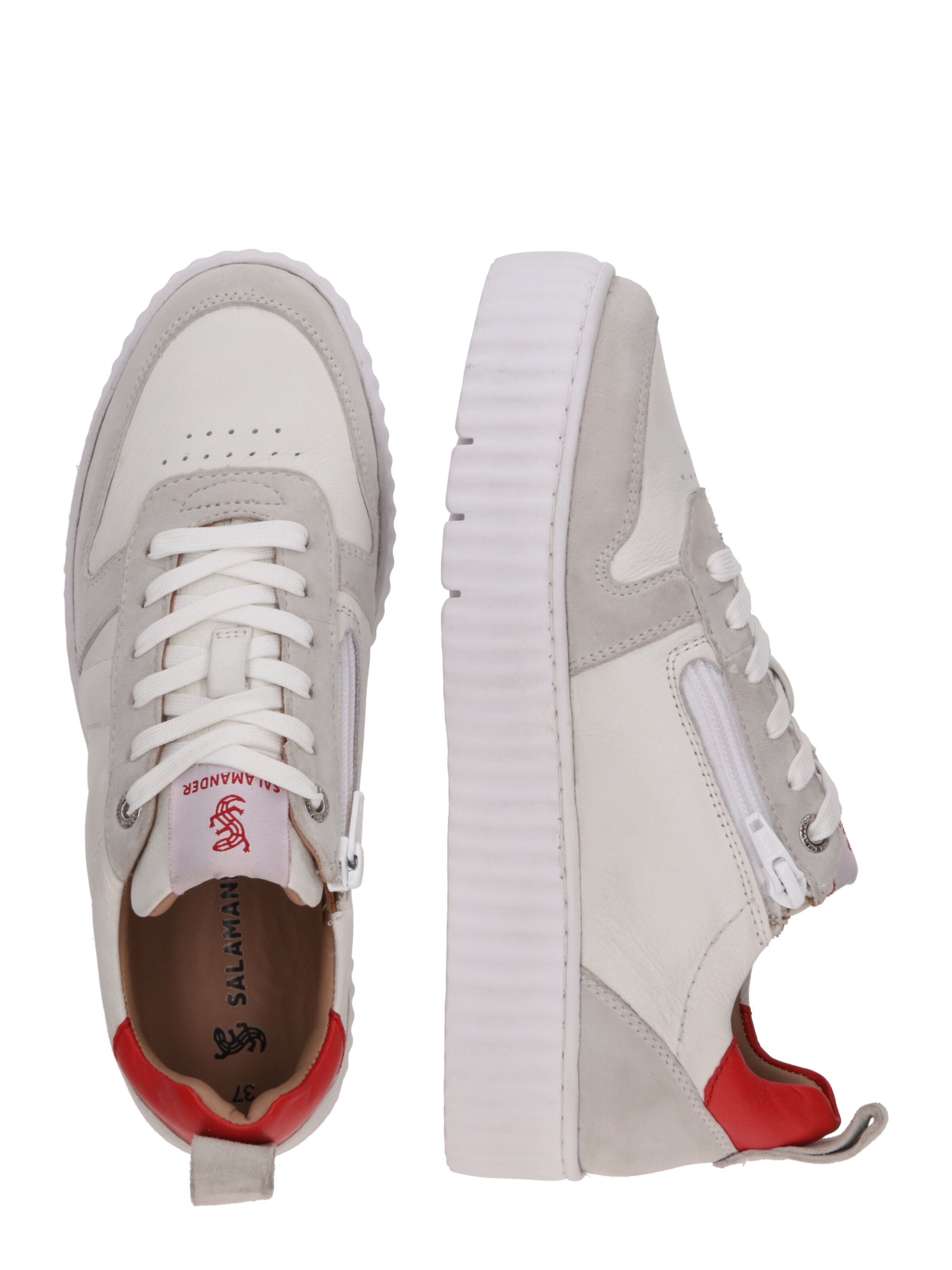 SALAMANDER Низкие кроссовки в Белый