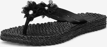 Tongs 'Cheerful18F' ILSE JACOBSEN en noir : devant